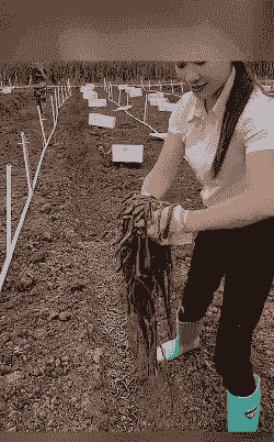 养殖蚯蚓怎么样