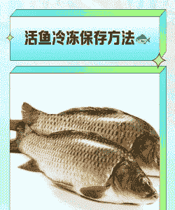 养殖的小鱼怎么保存