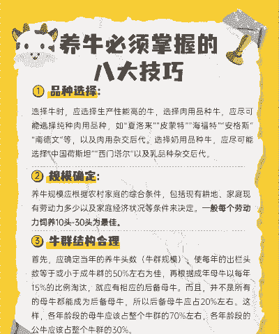 牛猪怎么养殖技术