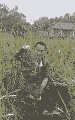 稻田养殖泥鳅怎么抓捕