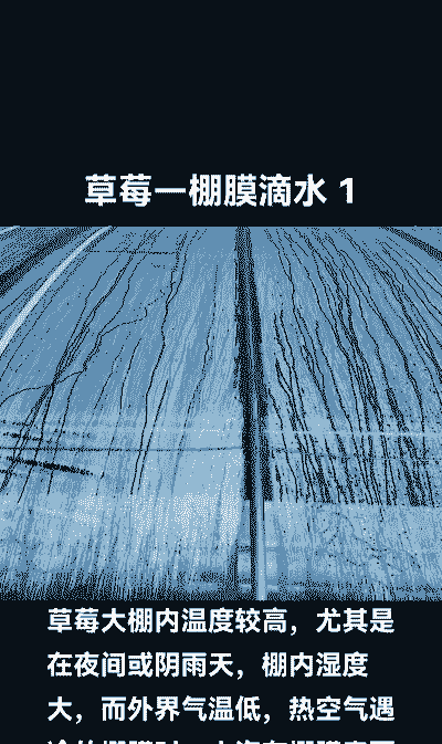 养殖大棚漏水怎么补补