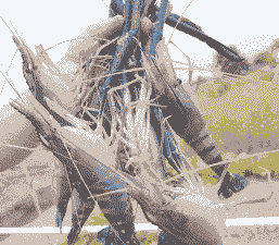 湛江养殖河虾怎么样