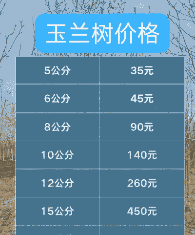 园区花卉养殖怎么收费的