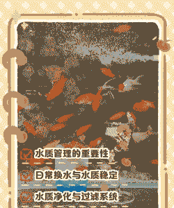 小金鱼养殖怎么管理水质
