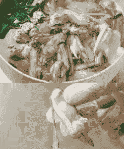 蛏子养殖用料怎么做