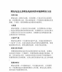 新来的鳄龟怎么养殖