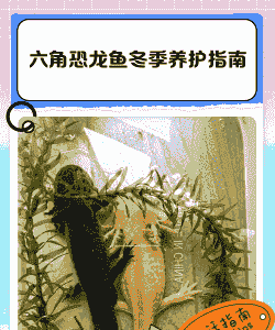 冬天养殖小鱼怎么养