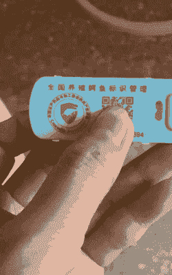 鳄鱼养殖 证件怎么办理