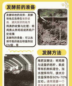 养殖鸡粪怎么制作肥料