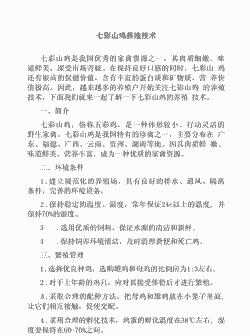 怎么养殖七彩山鸡