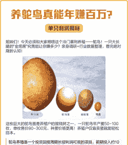 养殖鸵鸟利润怎么样