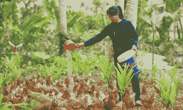 农村做养殖怎么样