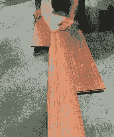 大果紫檀冬天怎么养殖