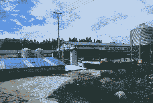 养殖场怎么去建厂