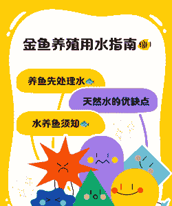 怎么用水养殖小鱼儿