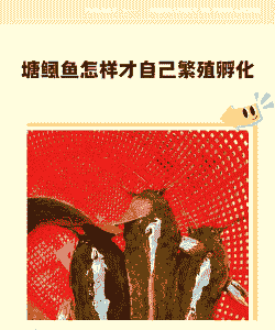 塘鲺怎么养殖