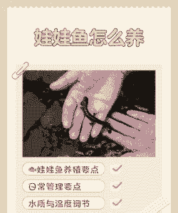 养殖大鲵利润怎么样