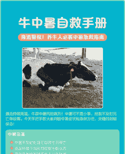 牛养殖怎么防止中暑发病