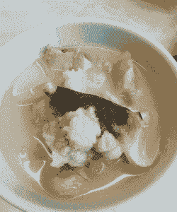 人工养殖河豚怎么烧汤