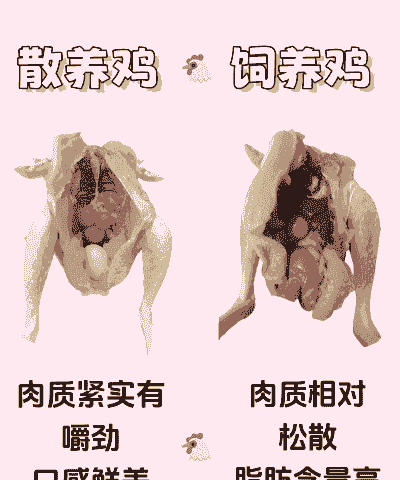 养殖的鸡鸭怎么保鲜的