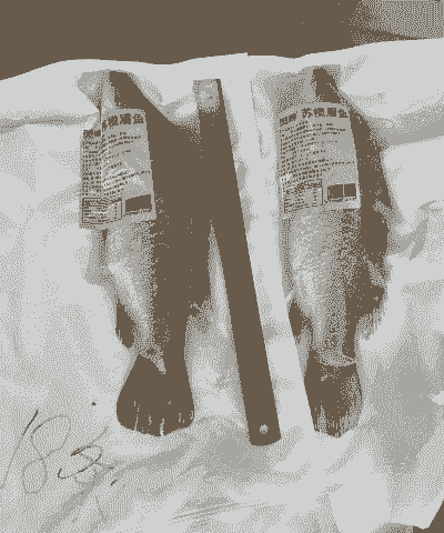 苏揽眉鱼怎么养殖