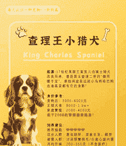 猎犬养殖条件怎么样