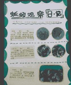 养殖蚯蚓怎么做帐