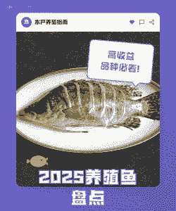 2025养殖鱼怎么样