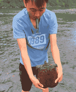 甲鱼养殖怎么抓上来
