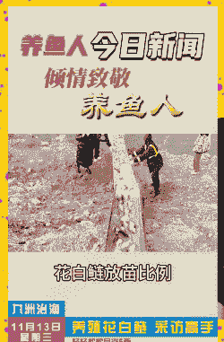 水库养殖花白鲢怎么肥水