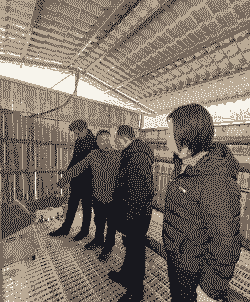 秀山养殖行情怎么样