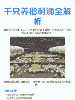 怎么提高养殖鹅的利润