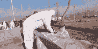 福州养殖户怎么防寒