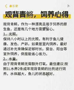 水族的养殖心得怎么写