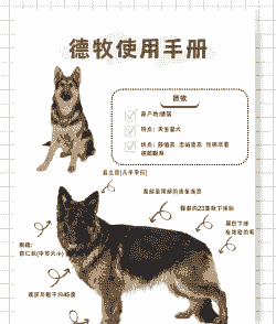 怎么养殖牧羊犬狗