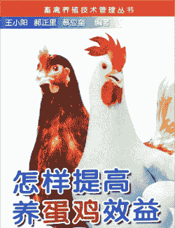 怎么提高蛋鸡养殖利润高