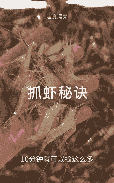 刚抓的河虾怎么养殖