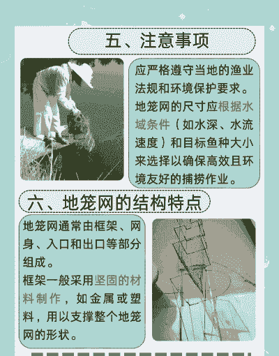 围网等投饵养殖怎么解释