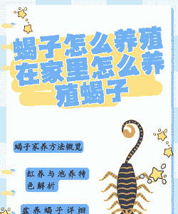 全自动养殖蝎子怎么养