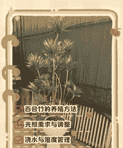 百合竹怎么养殖