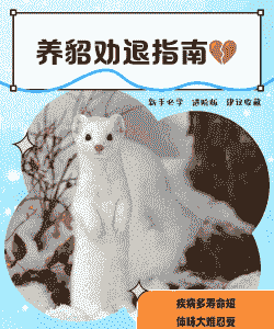 疫情过后怎么养殖水貂呢