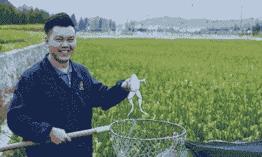 牛蛙养殖 工人怎么样
