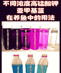 兰花养殖高锰酸钾怎么配