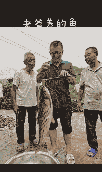 10斤的鱼怎么养殖