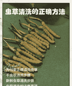 养殖的北虫草怎么清洗