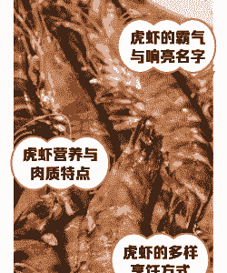 亚洲虎虾怎么养殖