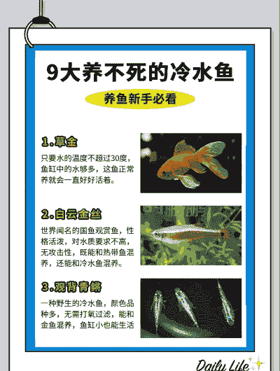 冬天怎么养殖金鱼不生病