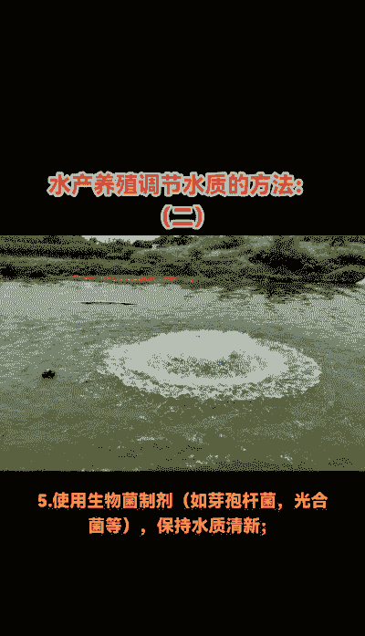 发酵床养殖水质怎么调节