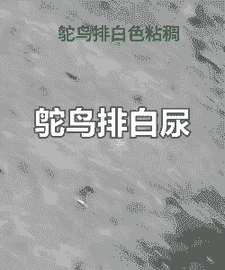 鸵鸟粪便怎么养殖的