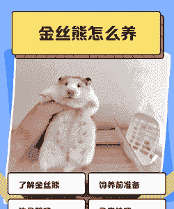 仓鼠在野外怎么养殖